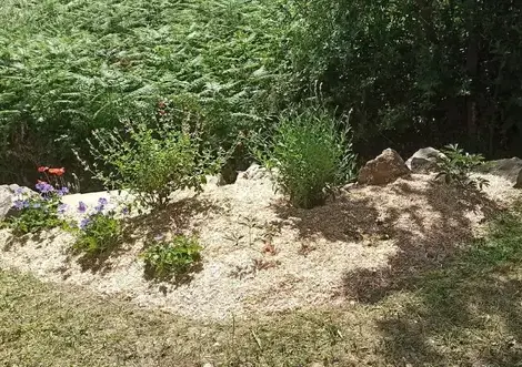 paysagiste à Bourgneuf-en-Retz - image 4