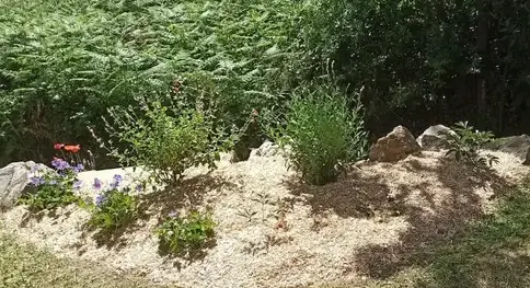 paysagiste Chauvé-1