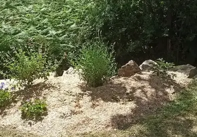 paysagiste à Saint-Père-en-Retz - image 3