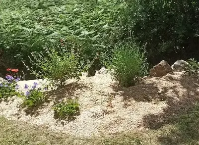 paysagiste à Saint-Viaud - image 4