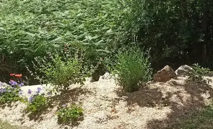 pergola terrasse à Chauvé - image 4