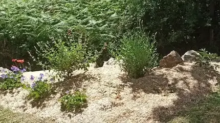 pergola terrasse Chéméré-1