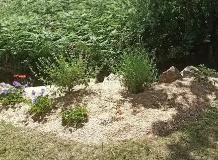 pergola terrasse à Frossay - image 4