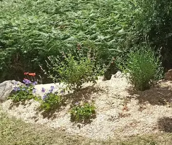 pergola terrasse Saint-Père-en-Retz-1