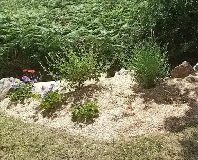 taille de haies Arthon-en-Retz-1