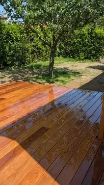 taille de haies à Arthon-en-Retz - image 2