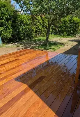 taille de haies à Chaumes-en-Retz - image 2