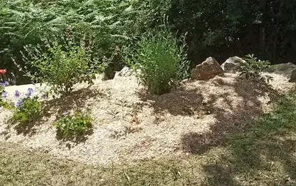 taille de haies Chauvé-1