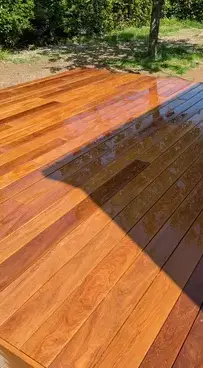 taille de haies Chauvé-5