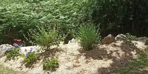 taille de haies Chéméré-1