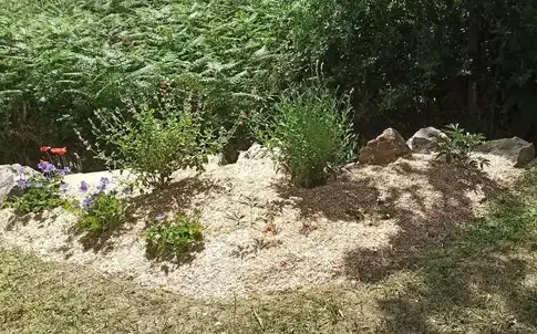 taille de haies à Frossay - image 3