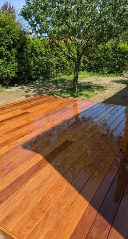 taille de haies à Frossay - image 4