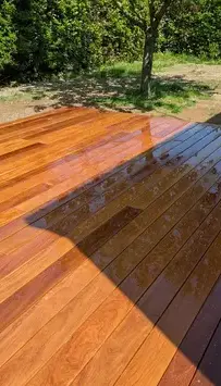 taille de haies à Pornic - image 3