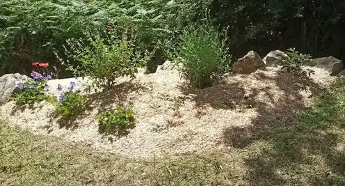 taille de haies à Saint-Michel-Chef-Chef - image 4