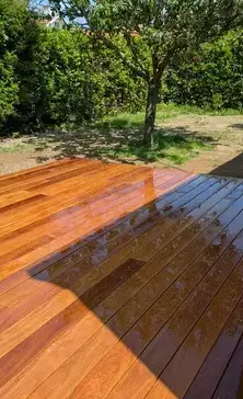 taille de haies Saint-Michel-Chef-Chef-5