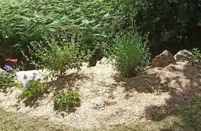 taille de haies à Saint-Père-en-Retz - image 2