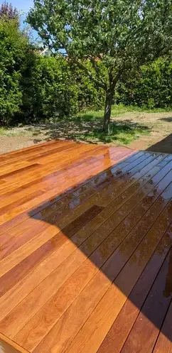 taille de haies Saint-Viaud-1