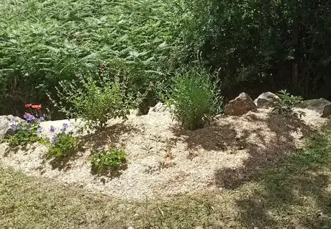 taille de haies à Saint-Viaud - image 3